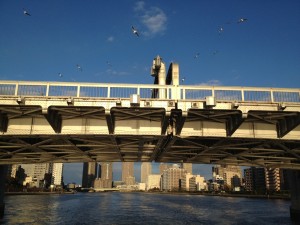 Мост реки Сумиды
